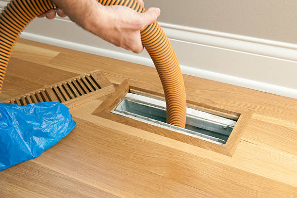 Best Local Air Duct Cleaning Services  in Federal Y, WA