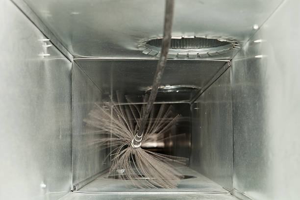 Best Air Duct Sanitizing Services  in Federal Y, WA